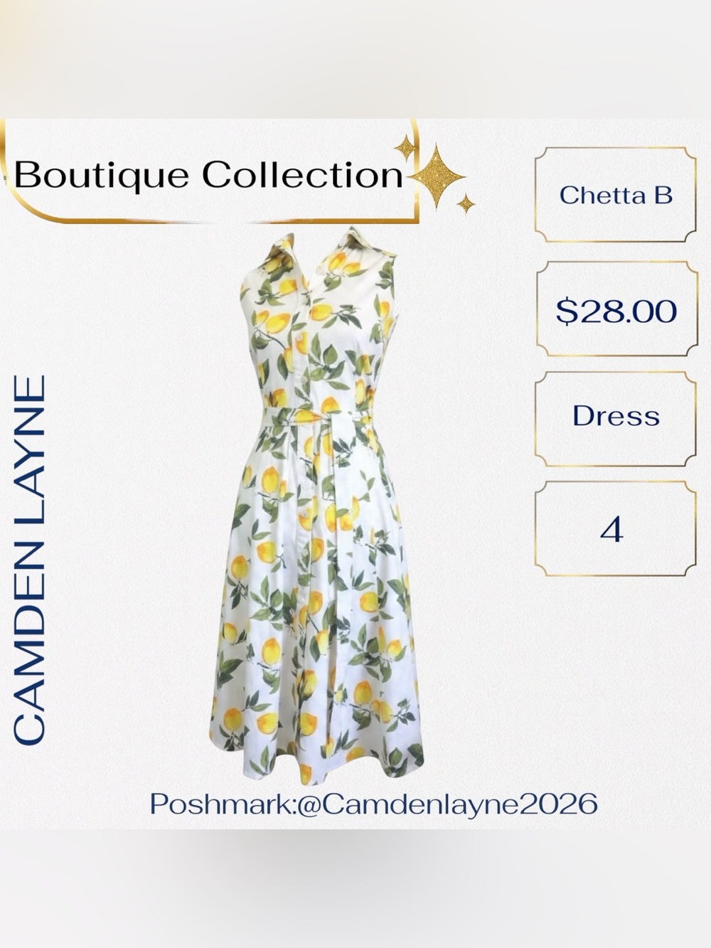 Chetta B White Maxi Dress with Lemon Print and Green Leaves - Picture 2 of 9